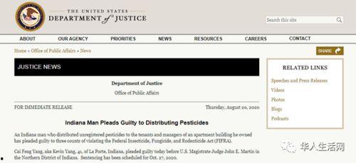 国产华人在线,探索中国互联网文化新篇章